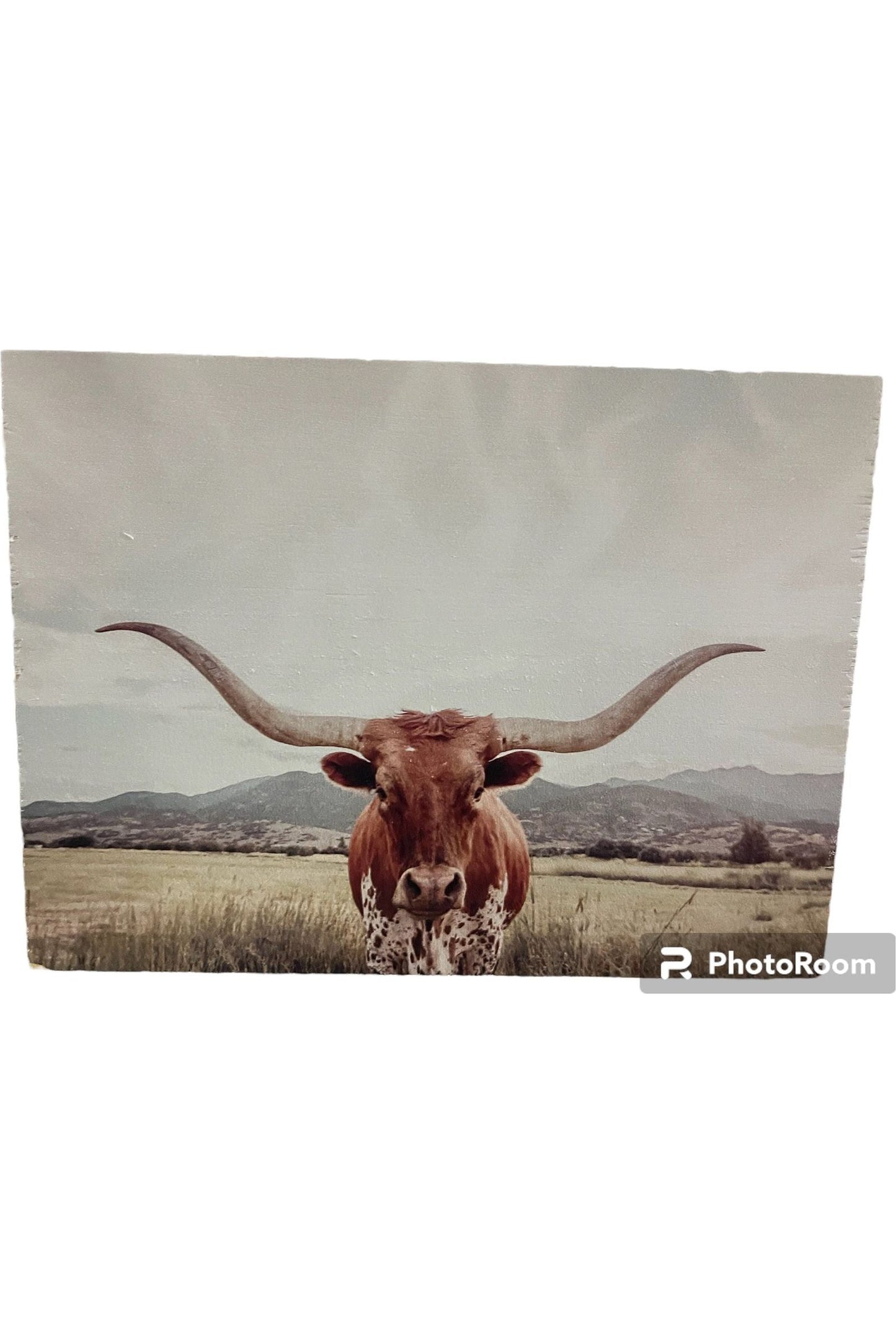 Longhorn Wood Plaques