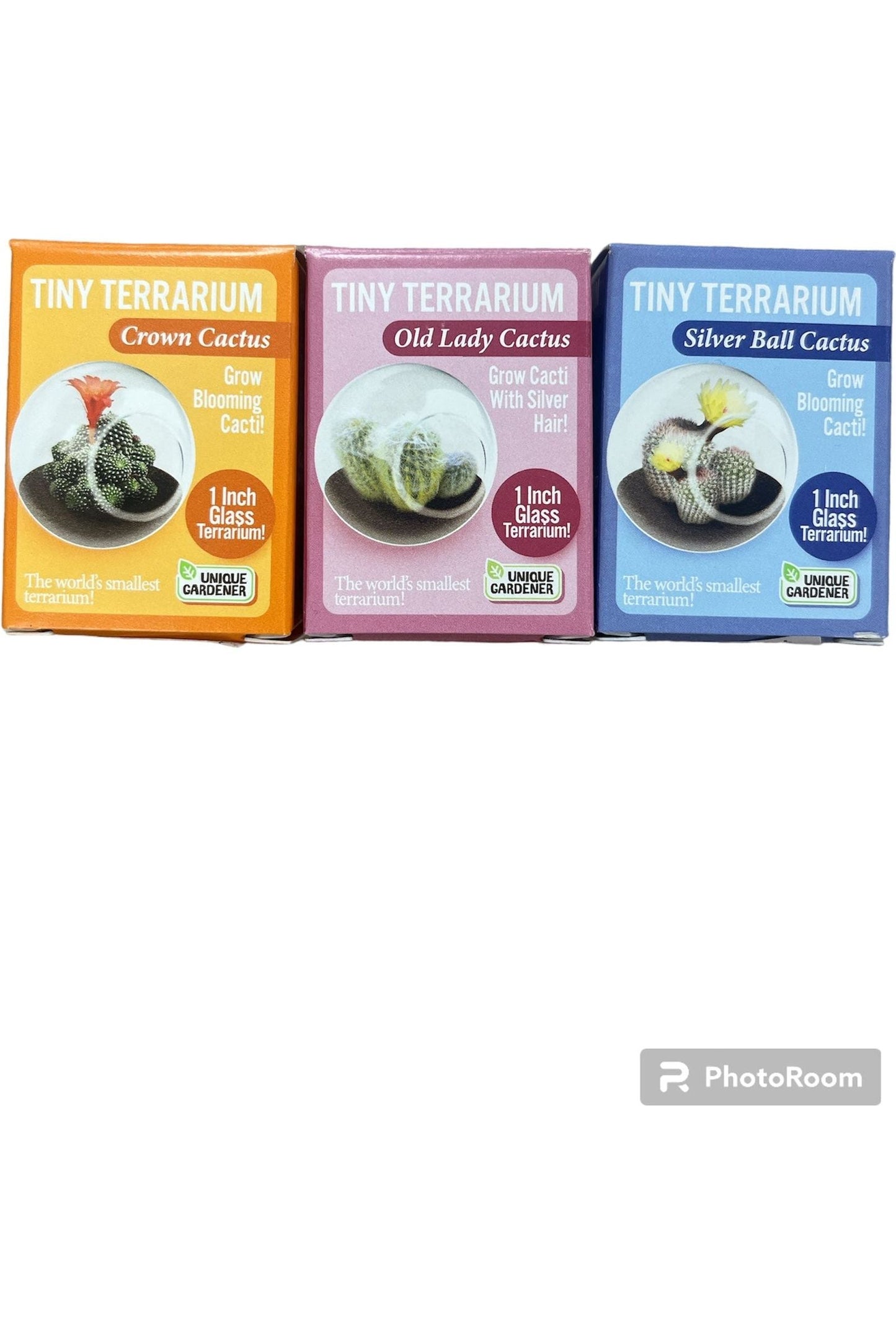 Tiny Terrarium - Cactus