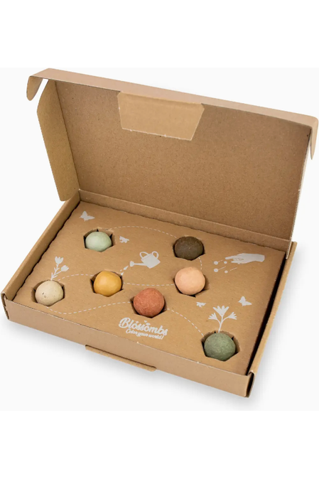 Blossombs for Teacher Seed Gift Box