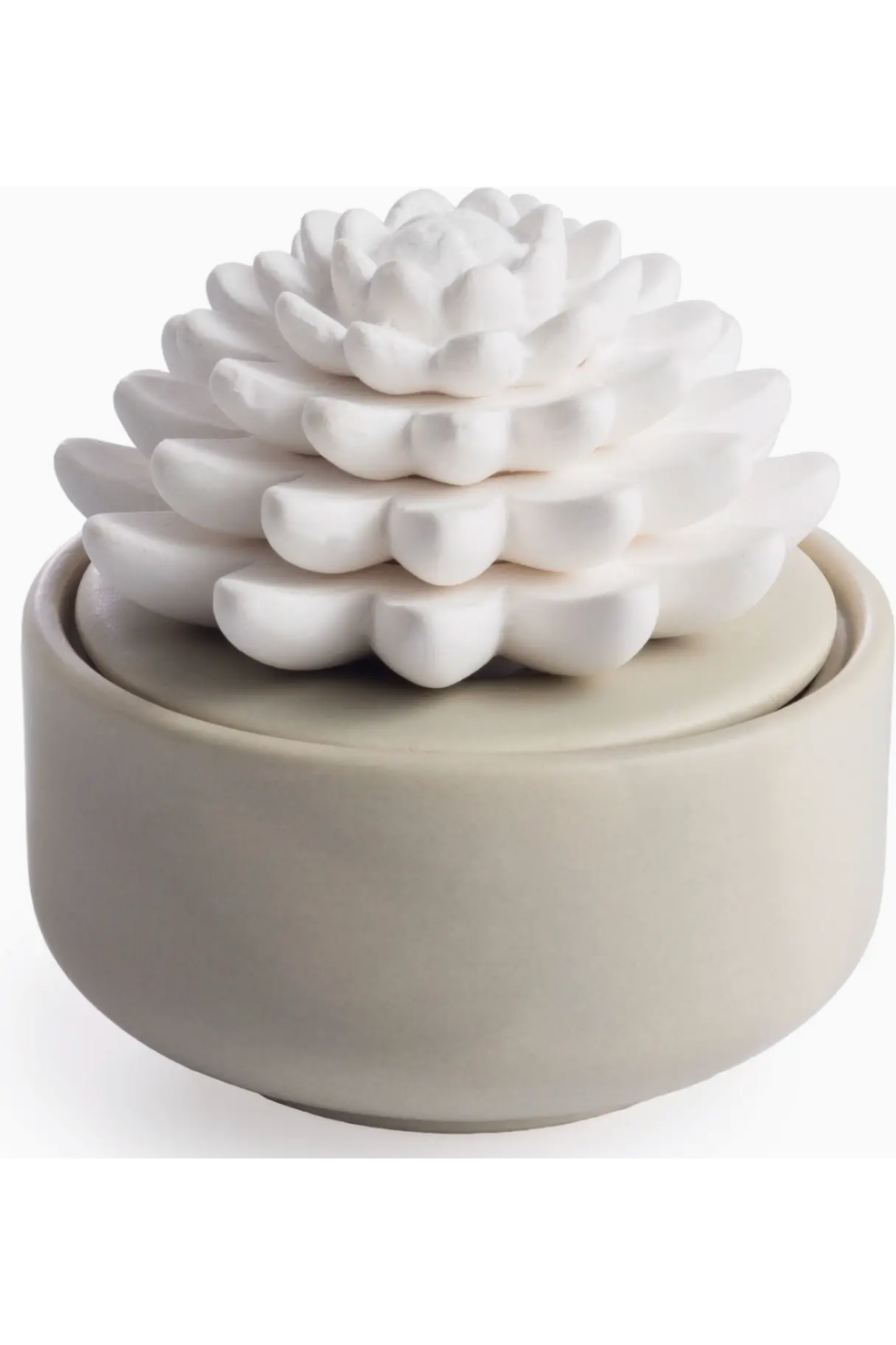 Porcelain Aroma Diffusser-Succulent