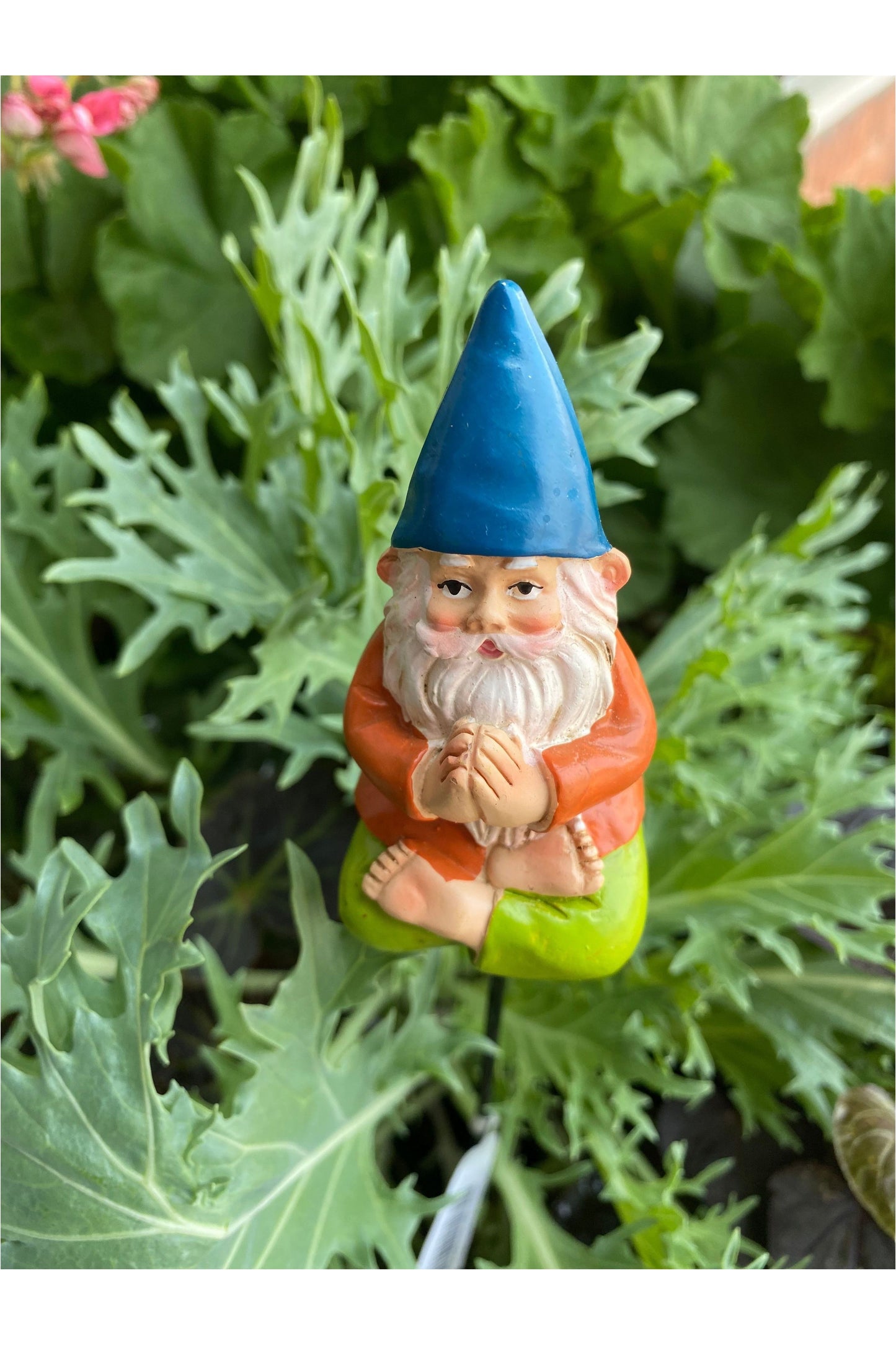 Gnomie Plant Pick