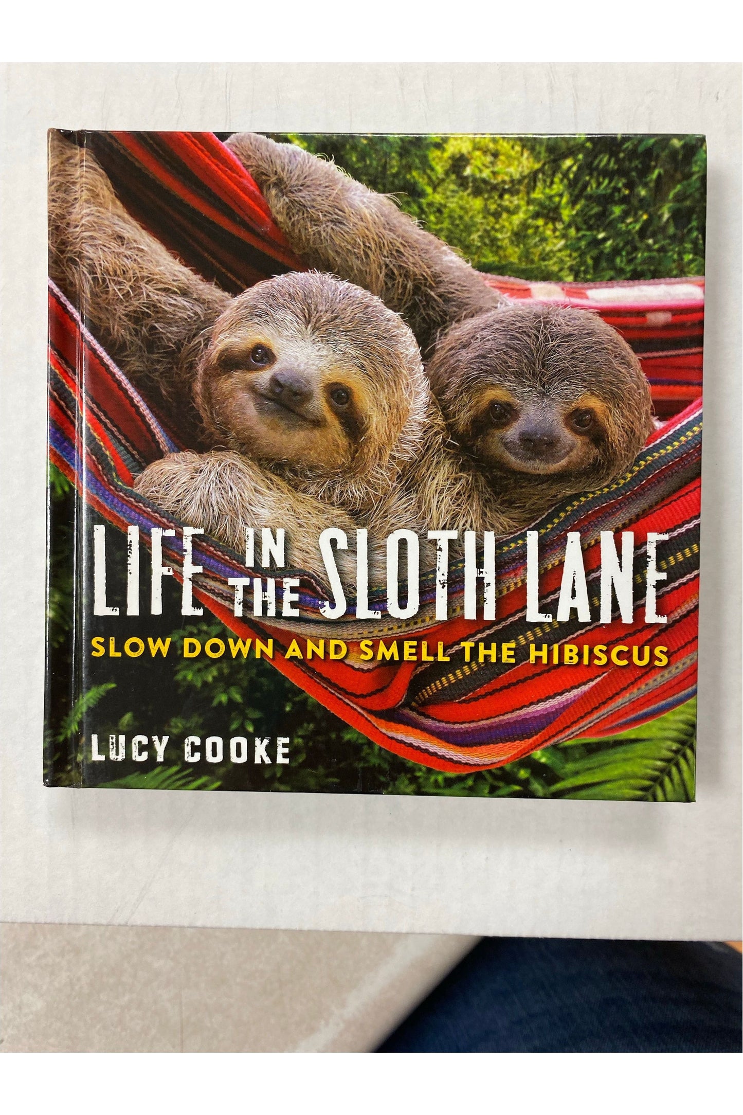 Life in the Sloth Lane Book
