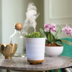 Ultrasonic Essential Oil Diffusers