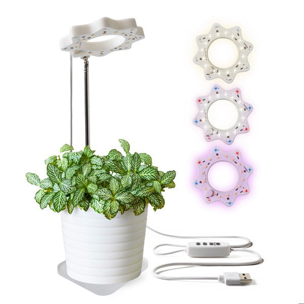 Set of three decorative plant holders with a plant on a white background