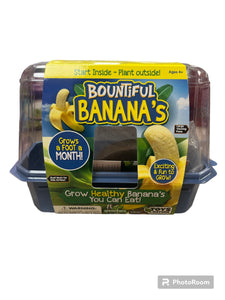 Bountiful Banana’s