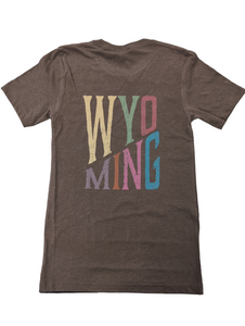 Colorblock Wyoming Tshirt - Back Design