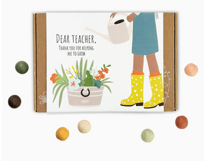 Blossombs for Teacher Seed Gift Box