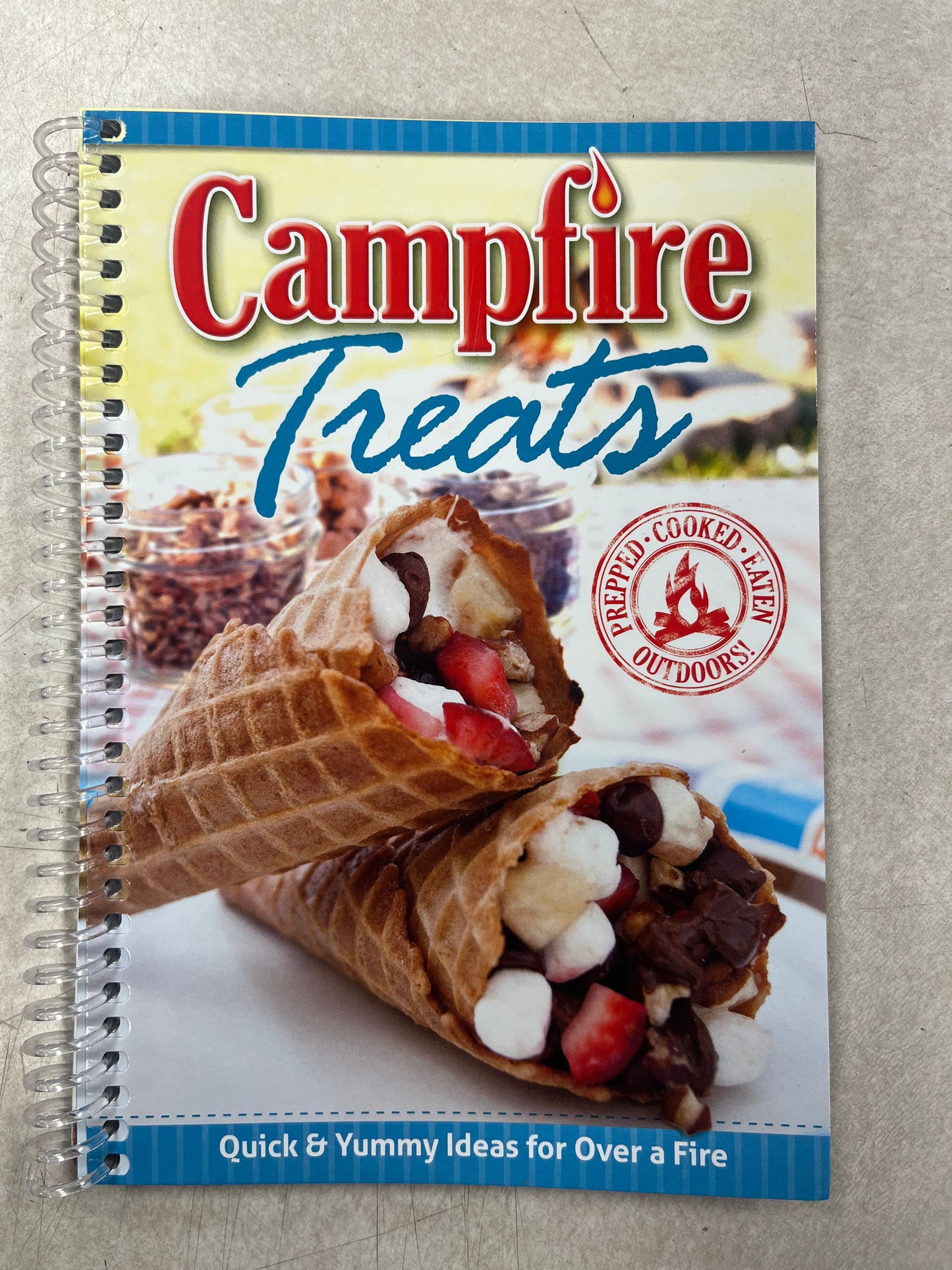 Campfire Treats Book