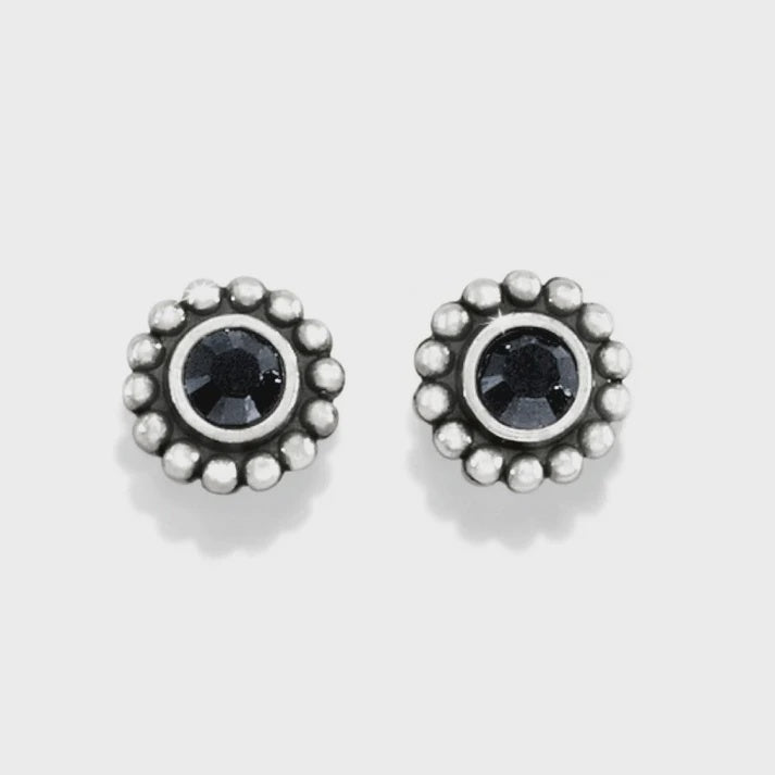 J20493 Blk Twinkle Mini Post