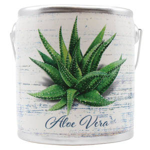 20oz Aloe Vera Succulents Farm Fresh Candle- Sage and Citrus