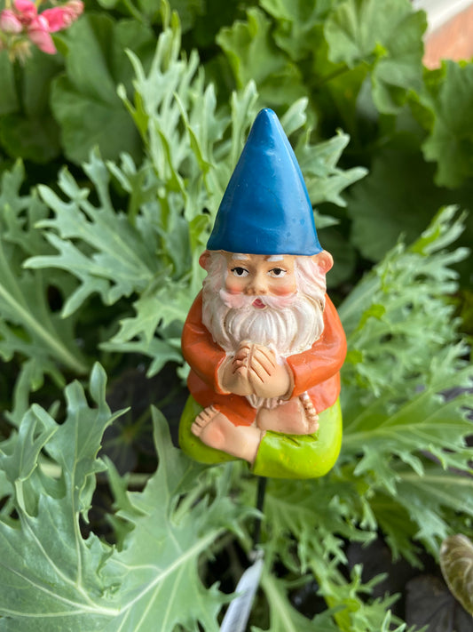 Gnomie Plant Pick